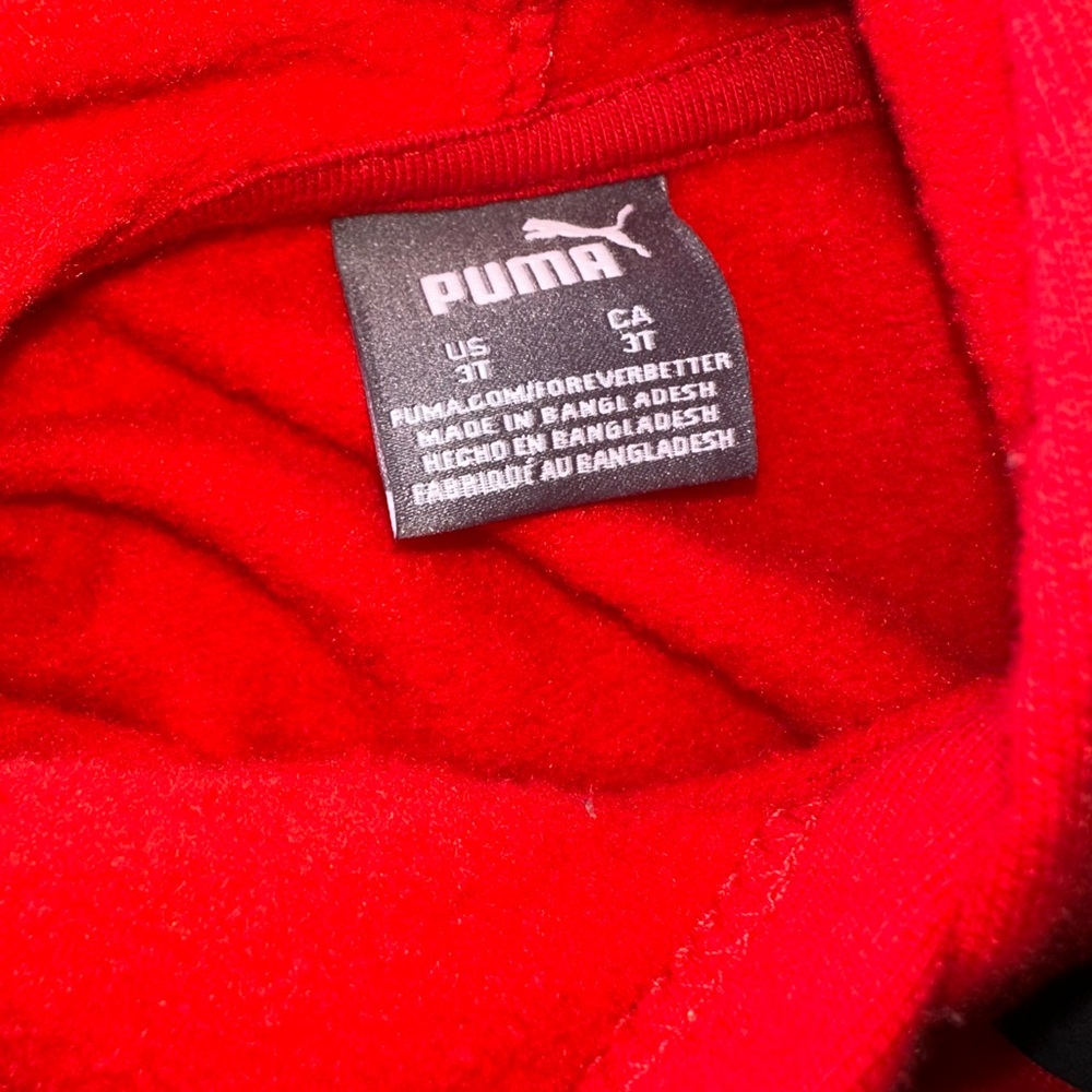 Puma Toddler Boys Logo Graphic Print Fleece Lined Hoodie Pullover Size 3T - Picture 3 of 4